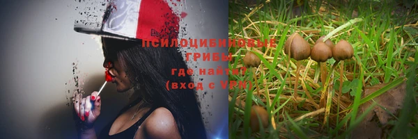a pvp Остров