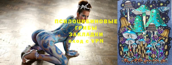 ALPHA-PVP Богородицк