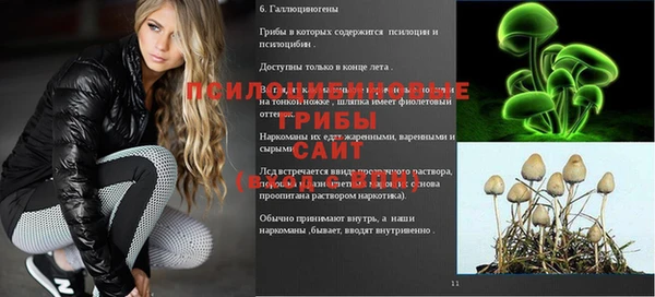 a pvp Бородино