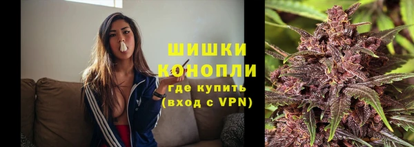 a pvp Бородино