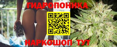 гидра Кулебаки