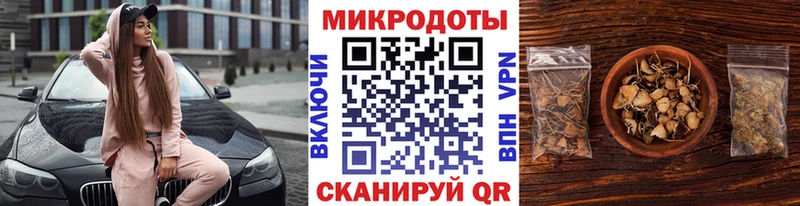 Псилоцибиновые грибы Psilocybine cubensis  Городец 