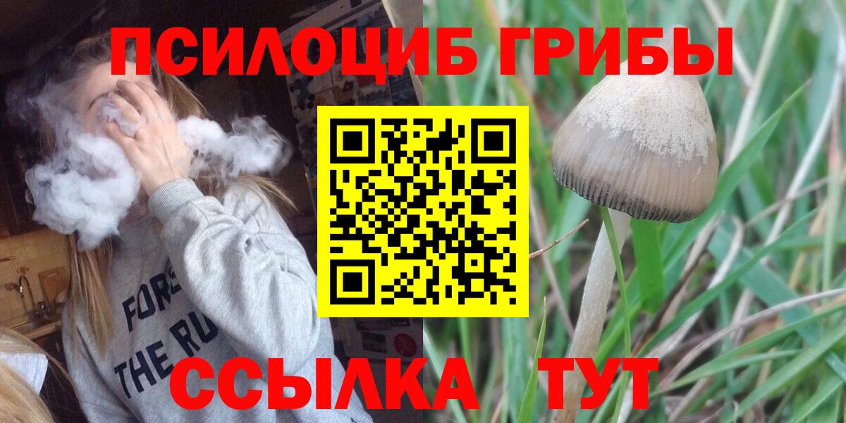 Псилоцибиновые грибы мицелий  Галлюциногенные грибы Psilocybe  Городец  Вход с VPN 