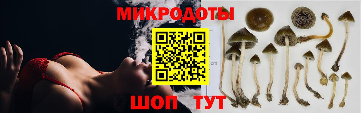 Галлюциногенные грибы мицелий Городец